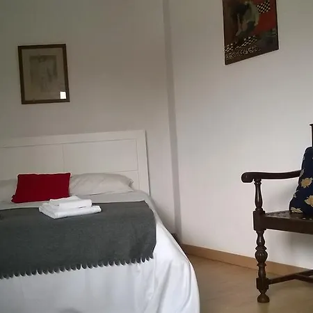 بيت ضيافة Alegria بورتو